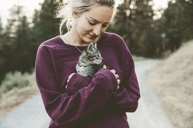 Нормально ли то, что коты постоянно мяукают: что говорят эксперты