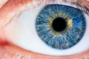 Люди з блакитними очима: в чому особливість їхньої енергетики 