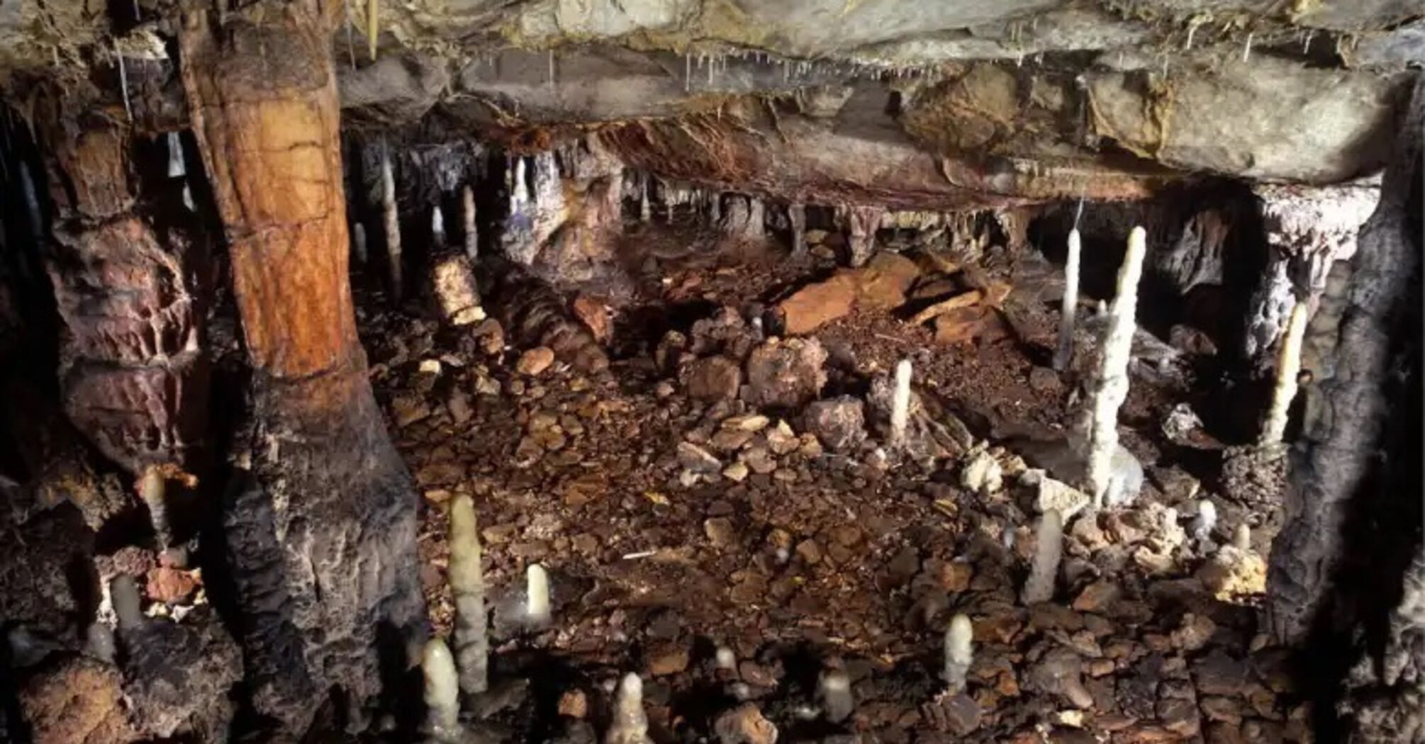 Remains of a Paleolithic house found in La Garma cave in Cantabria - where ancient people lived 16,800 years ago - pH๏τo