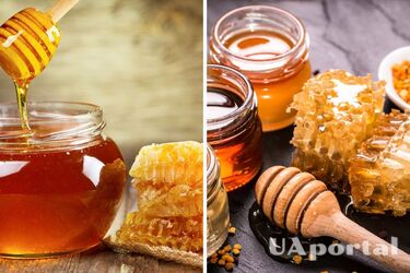 Скільки меду можна з‘їдати в день, щоб не нашкодити здоров‘ю: ви будете здивовані