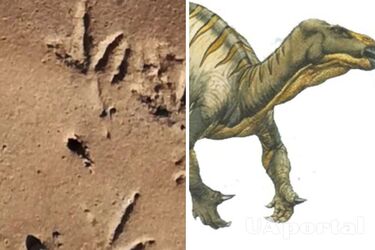 Bird tracks 210 million years old discovered in Africa: the oldest on the planet