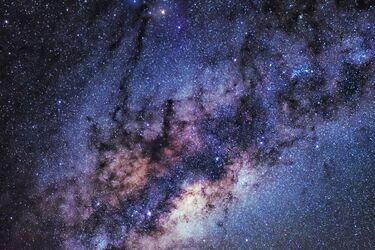 Пять знаков зодиака продемонстрируют настойчивость и трудолюбие на этой неделе