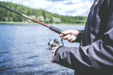 Спробуйте різні наживки, зверніть увагу на погоду та наберіться терпіння