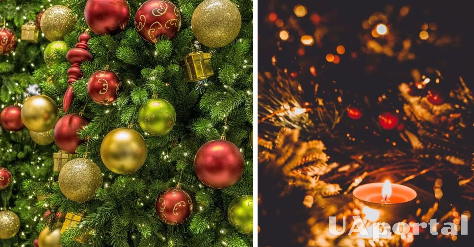 Experts name five reasons why Christmas trees can catch fire: avoid these mistakes