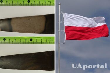 In Poland, a grandmother found a rare prehistoric artifact and kept silent about it for 50 years (photo)