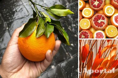 Обычные продукты ароматизируют дом без химии: простые секреты