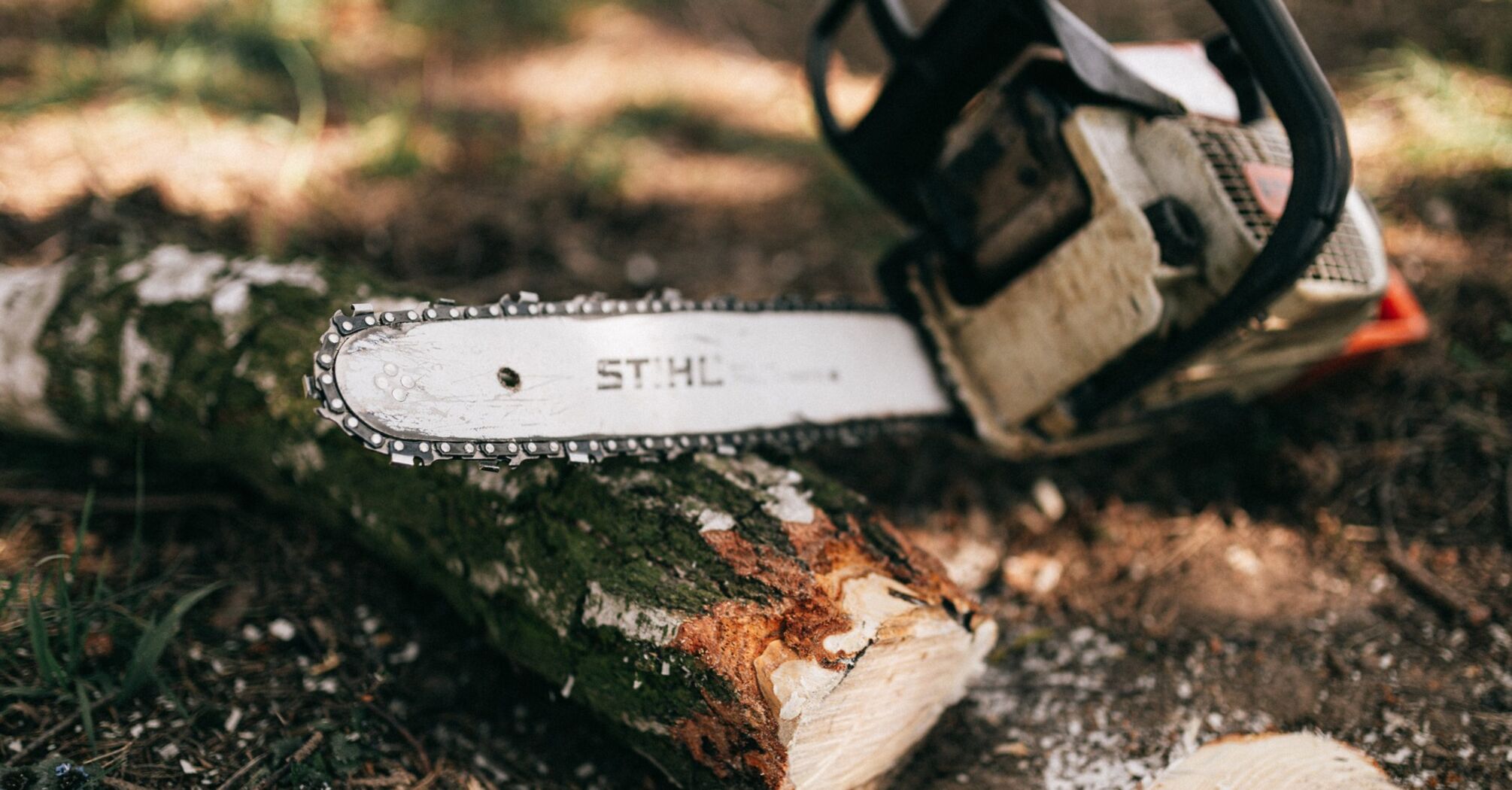 We study the differences between electric saws and chainsaws