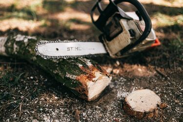 We study the differences between electric saws and chainsaws