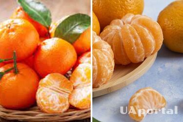 How to properly store tangerines for them to stay fresh longer