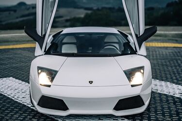 Facts about the Lamborghini brand