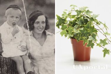 Притягують хвороби до мешканців будинку: 4 речі, які варто негайно викинути