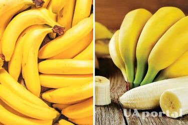 Підтримує роботу серця та насичує організм калієм: чому варто з‘їдати два банани на день