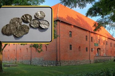 Рідкісний скарб середньовічних монет XI століття знайшов металошукач у Польщі: фото