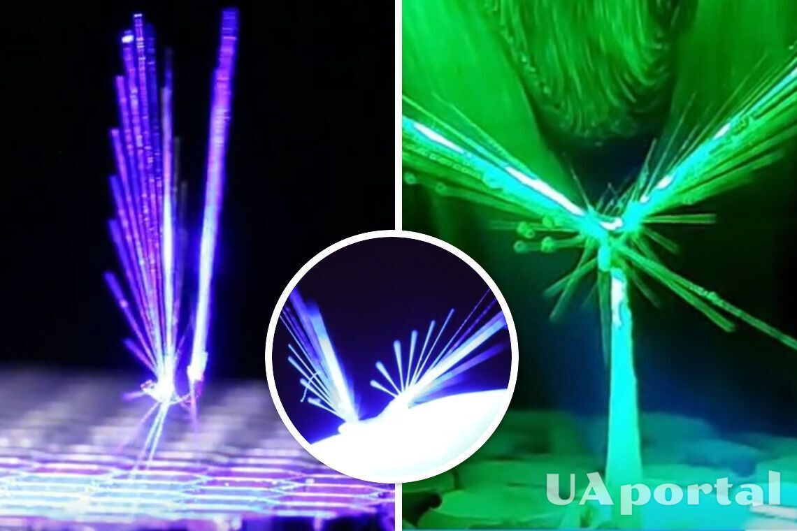Похож на фею: ученые создали миниробота, управляемого силой света и ветра (видео)