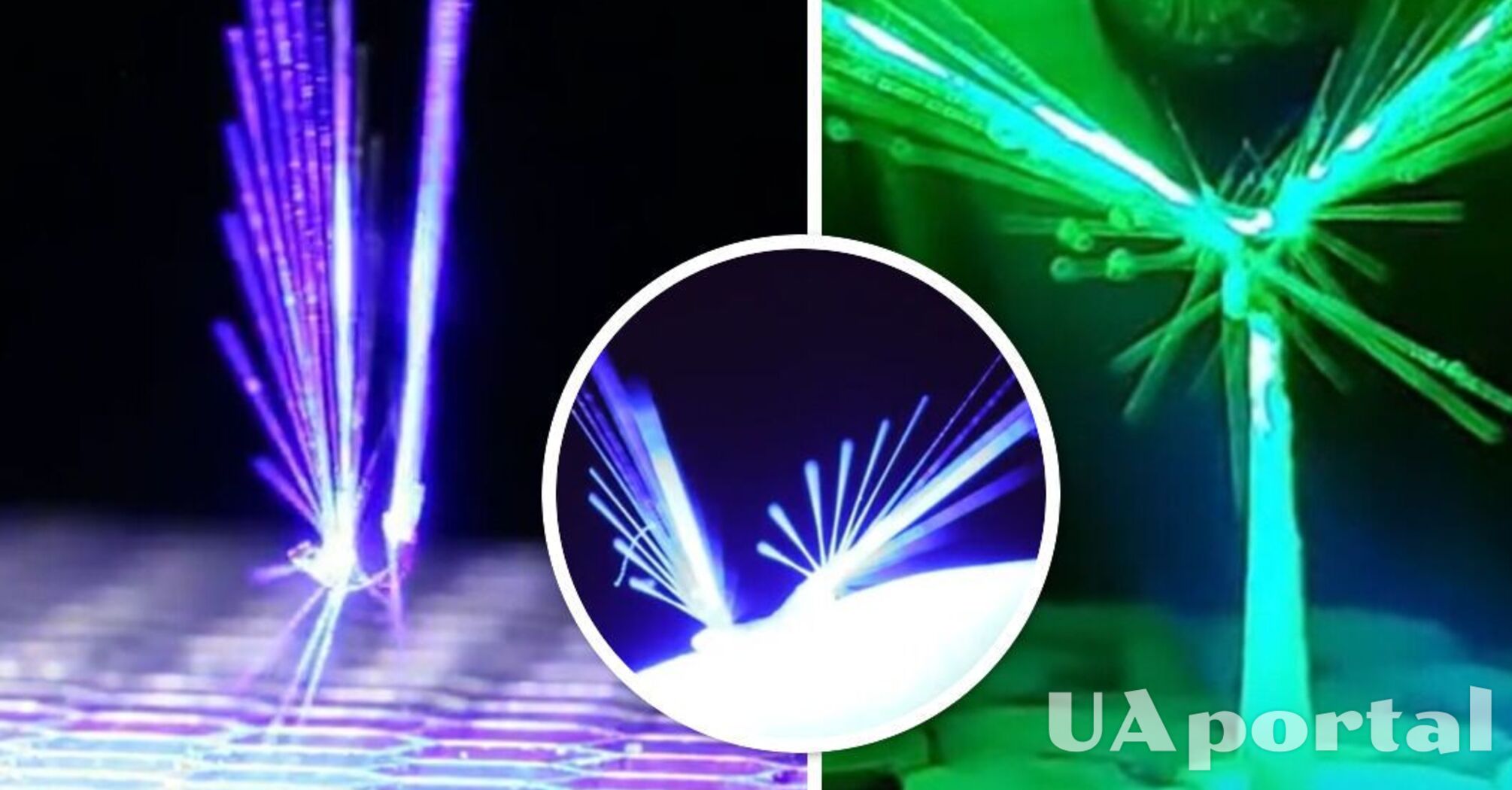 Похож на фею: ученые создали миниробота, управляемого силой света и ветра (видео)