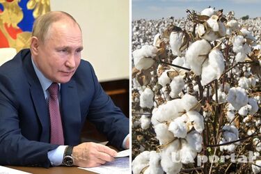 путин приказал Минобороны рф прекратить обстрелы Белгородской области