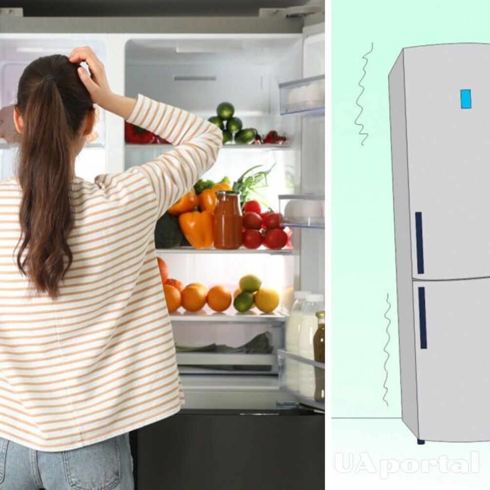 Чому холодильник стукає під час роботи: причини та поради