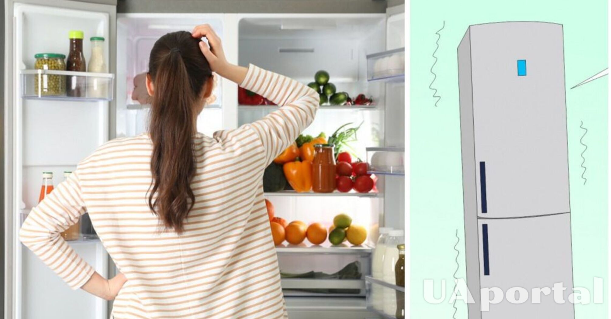 Почему холодильник стучит во время работы: причины и советы