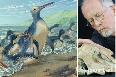 В Новой Зеландии обнаружили кости гигантского пингвина