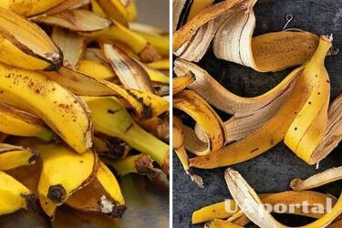 Як застосувати шкірку від банана