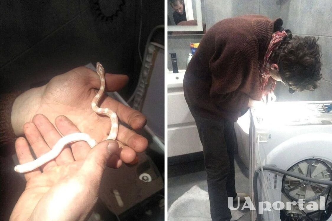 В Киеве спасатели достали из стиральной машины змею (фото)