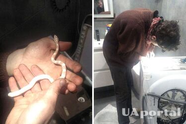 В Киеве спасатели в стиральной машине нашли змею