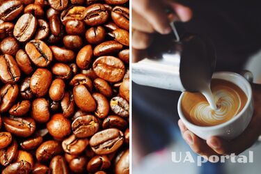 Почему кофе с молоком нужно пить зимой: объяснение ученых