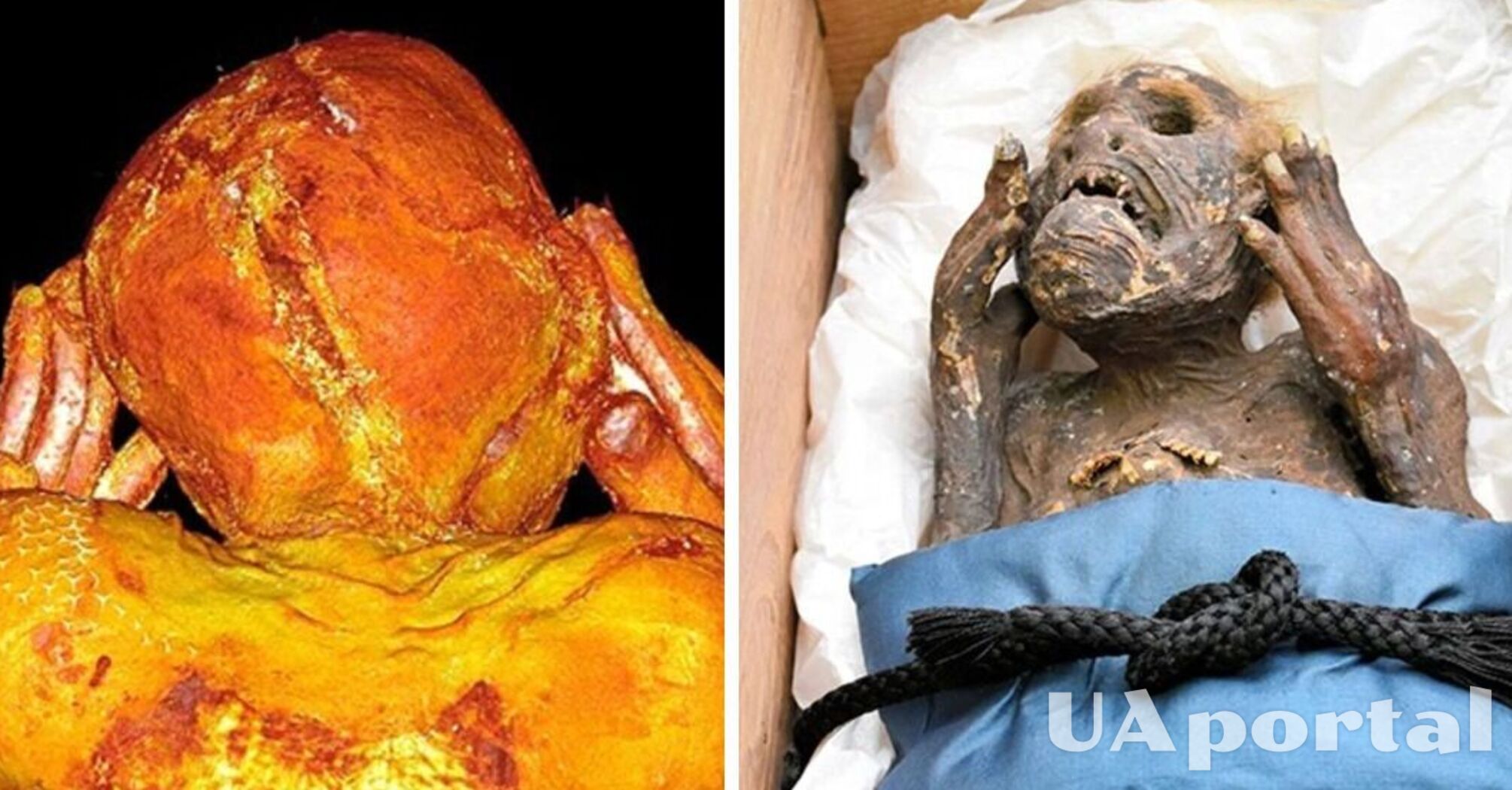 Древняя японская мумия русалки оказалась подделкой: подробности