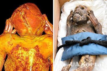 Древняя японская мумия русалки оказалась подделкой: подробности
