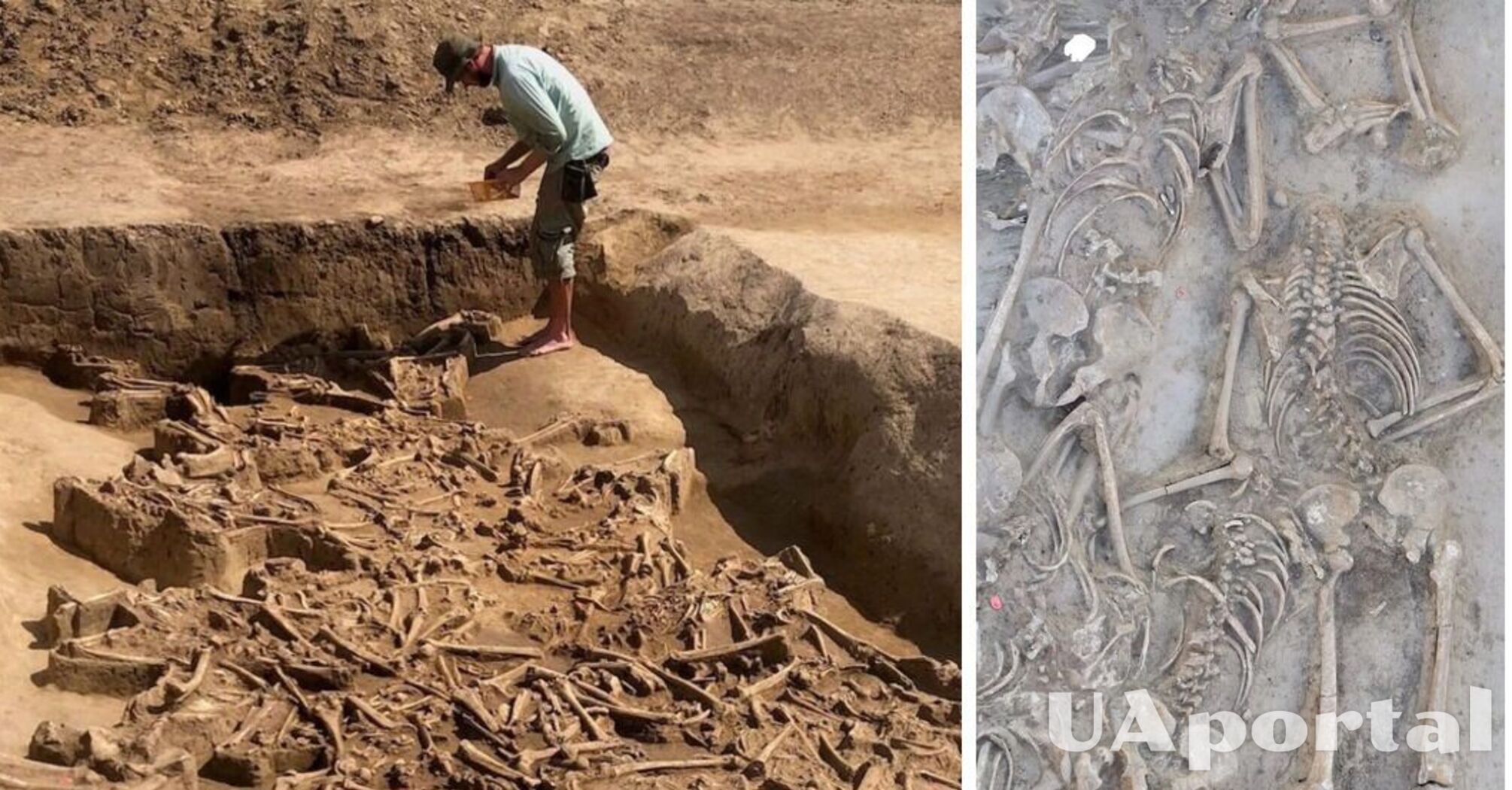 Массовое захоронение с обезглавленными останками тел раскопали археологи в Словакии