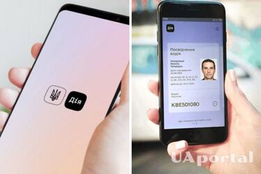 Жителя Прикарпатья оштрафовали за попытку добавить в действие поддельное водительское удостоверение