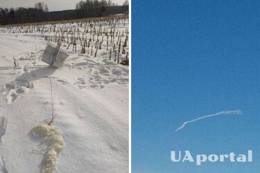 В сети показали, как выглядит российский воздушный шар, сбитый над Киевщиной (фото)