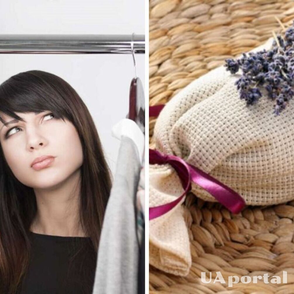 Как избавиться от запаха сырости в шкафу: простые советы