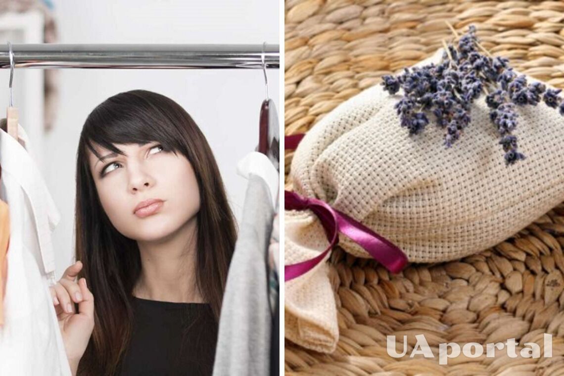Как избавиться от запаха сырости и излишней влаги в шкафу