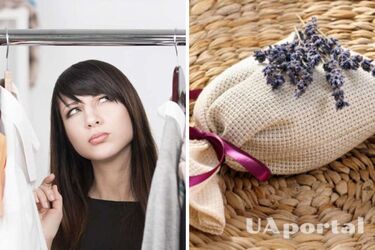 Как избавиться от запаха сырости и излишней влаги в шкафу