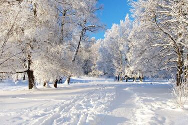 Пузырчатая пленка и теплоизоляционные одеяла: как согреться в холодный сезон