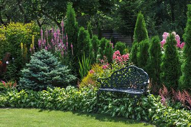 Помогут бороться с сорняками: три лайфхака, которые бюджетно улучшат сад