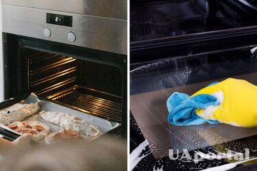 Простые способы почистить противень для духовки не повредив его