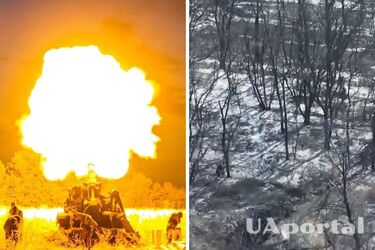 Украинские артиллеристы вместе с авиацией уничтожили пехоту врага в лесу (видео)
