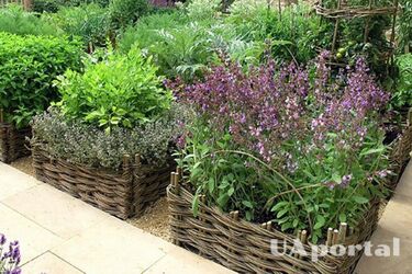 Упростите свой садовый труд с помощью этих лайфхаков