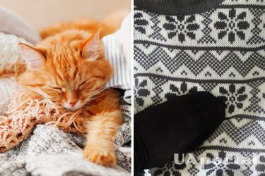 Як почистити одяг від шерсті тварин