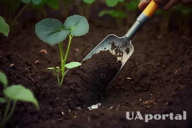 Как часто нужно поливать сад: полезные лайфхаки для садоводства