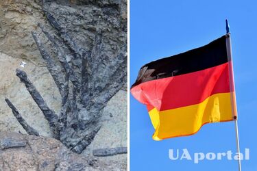 Деревянные шпили из римского форта 1 века впервые обнаружили в Германии (фото)