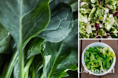 Будет долго свежим: как хранить салат, чтобы он не увял