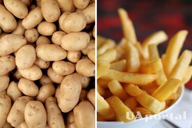 Как сделать заготовку для картофеля фри собственноручно