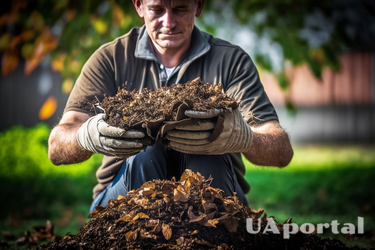 Приподнятые грядки и правильное место: лучшие лайфхаки, как создать свой огород