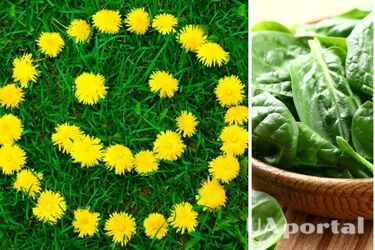 'Тонни вітамінів і поживних речовин': дієтологи назвали рослини, які варто їсти щодня