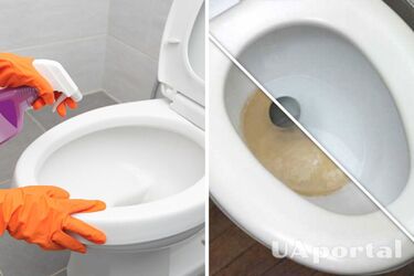 Как очистить унитаз без химии