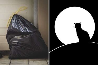 Плохая примета: почему нельзя выносить мусор из дома вечером и что может произойти