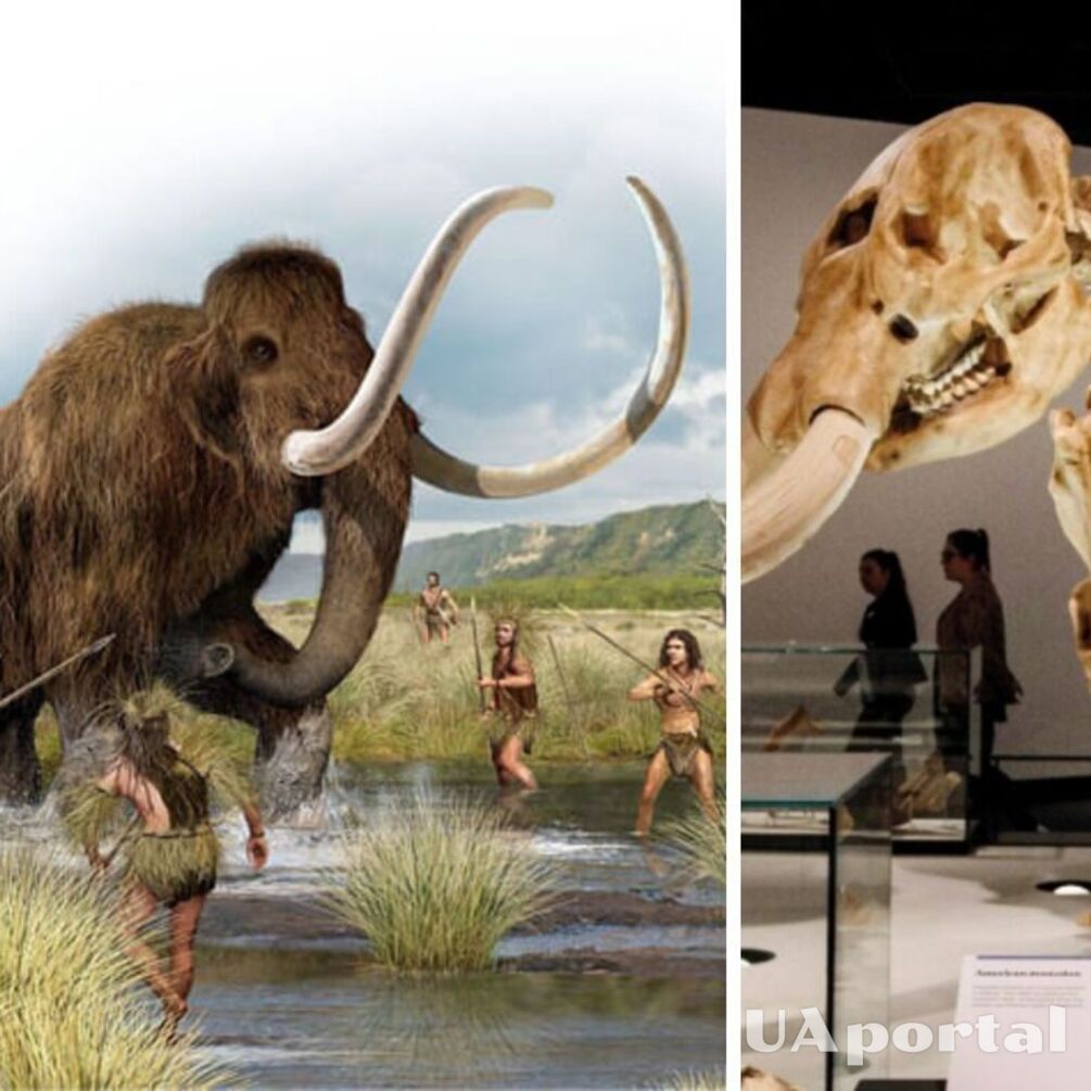 В США нашли часть древнего оружия в ребре мастодонта, возможный возраст которого почти 14 тыс. лет (фото)